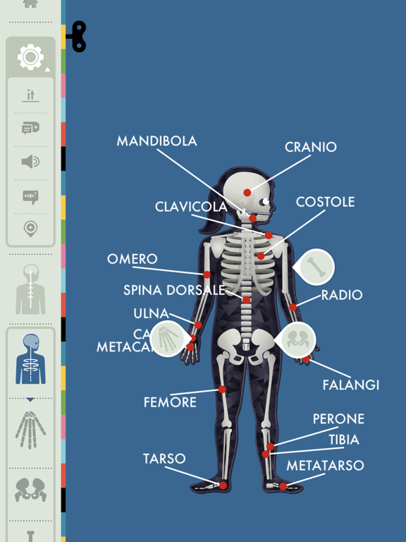 Screenshot di Il Corpo Umano