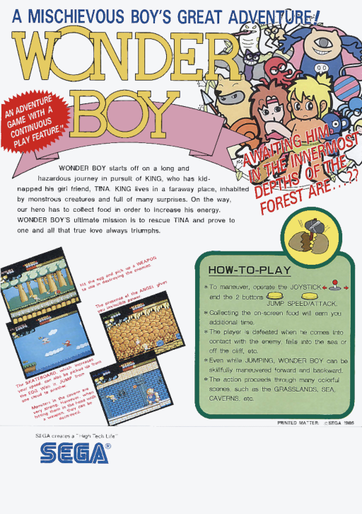 Box art di Wonder Boy